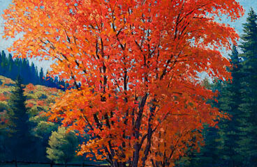 Maple Bench Meadow